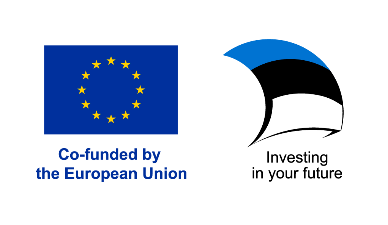 Co-funded by EU