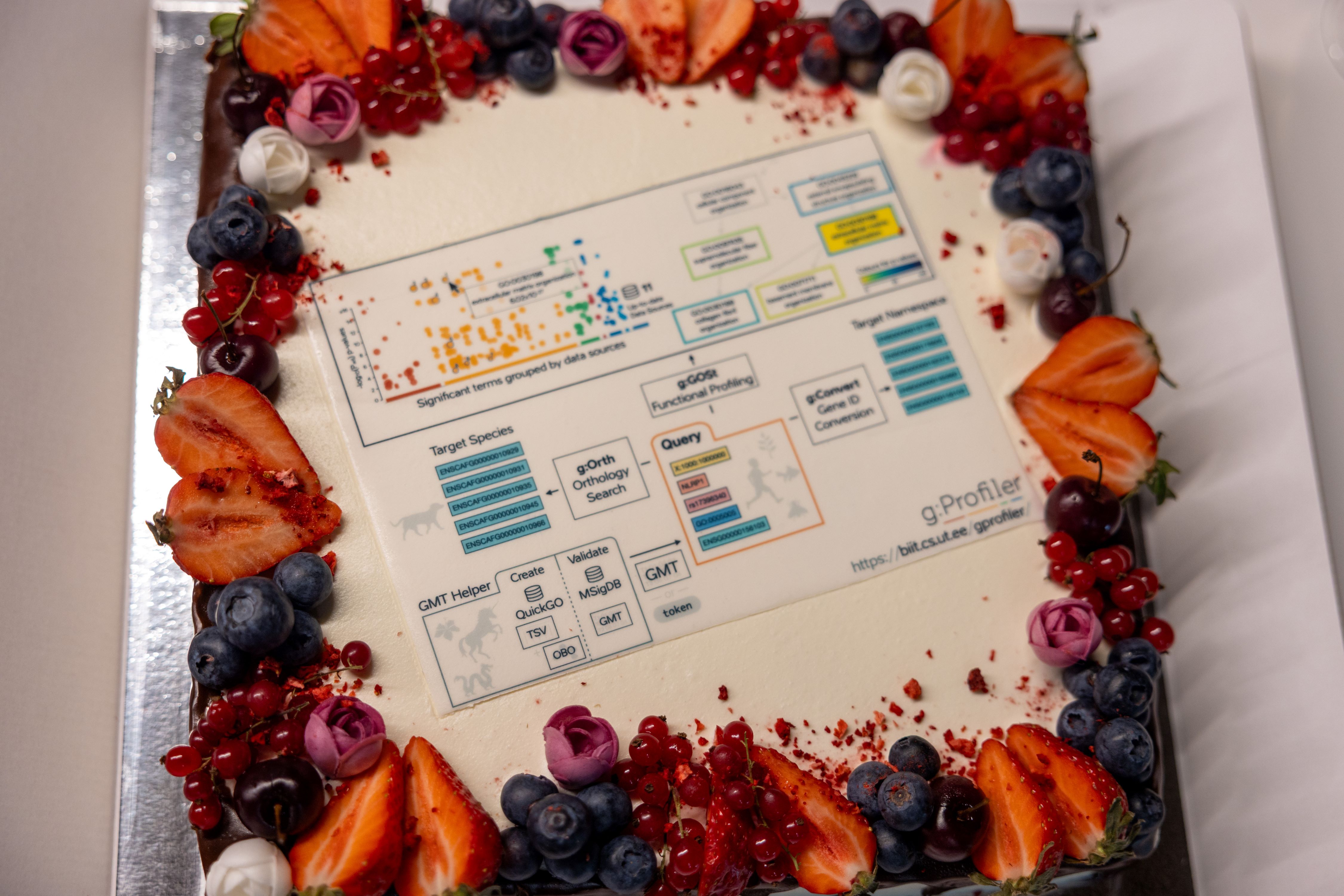Cake celebrating g:Profiler milestones picture